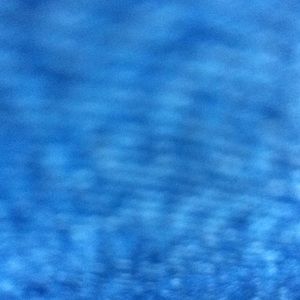 Meet your Posher, Esther